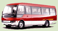 Safari Minibus